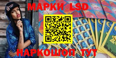 спайс Берёзовский