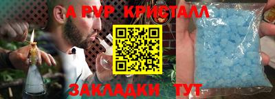 спайс Берёзовский