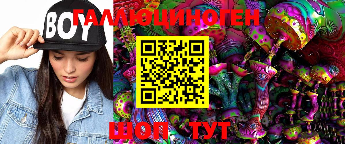 хочу   Вход с VPN  Клинцы  Галлюциногенные грибы Psilocybe 